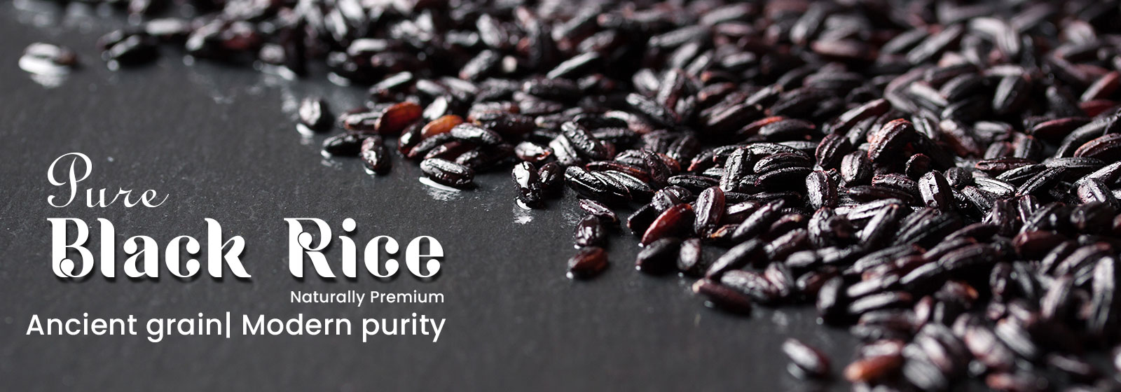 Zaa International Marketing